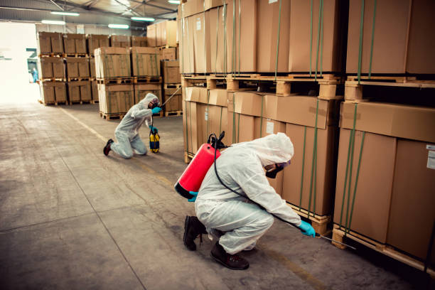 Best Residential Pest Control  in Pensacola, FL