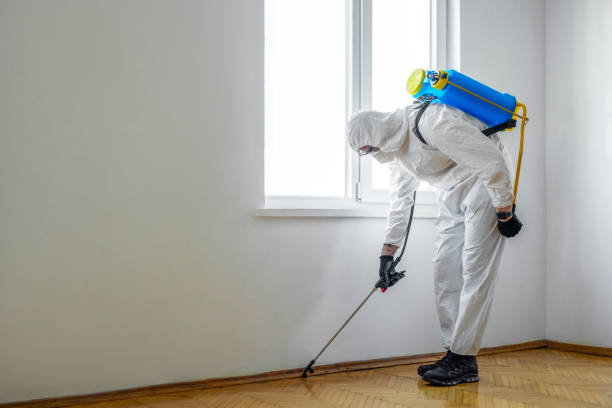 Best Affordable Pest Control Services  in Pensacola, FL