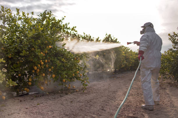 Best Flea Control Services  in Pensacola, FL