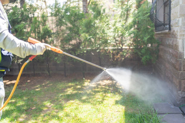 Best Mosquito Control Services  in Pensacola, FL