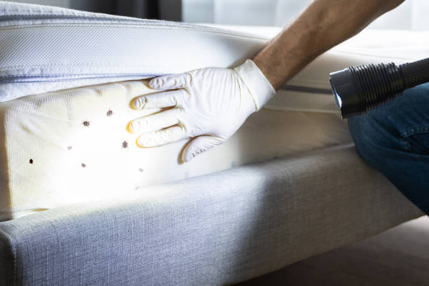 Best Pest Control for Homes  in Pensacola, FL