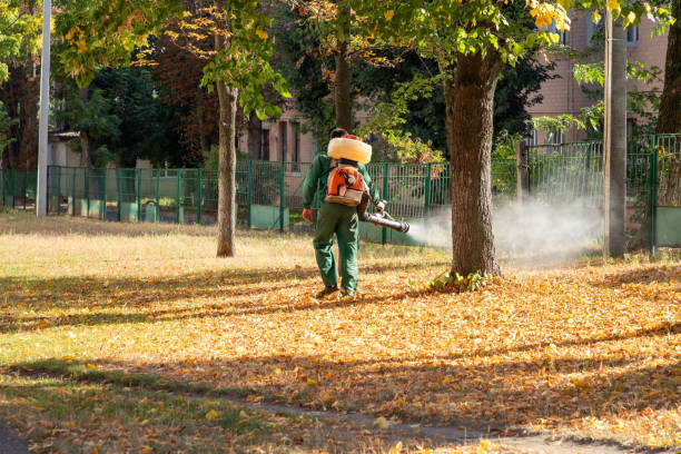 Best Emergency Pest Control  in Pensacola, FL